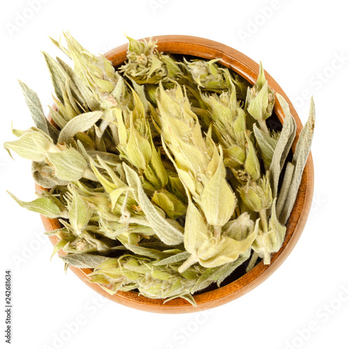 Sideritis, Greek mountain tea in wooden bowl. Also ironwort and shepherds tea. Dried flowering plants, used as herbal medicine and tea. Isolated food photo, closeup, from above, on white background. photo