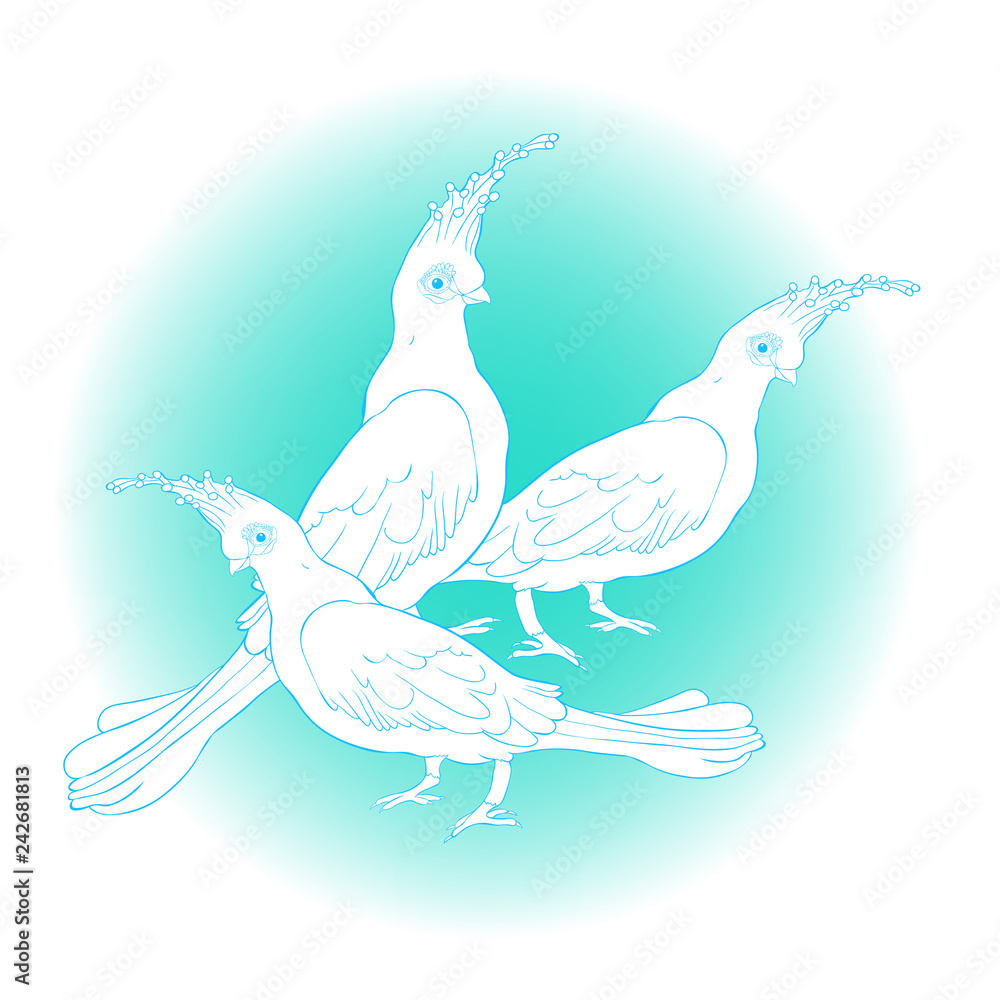 Turako Livingston Bananoed Tropical Parrot. illustration Turako Livingston Bananoed Tropical Parrot. illustration
