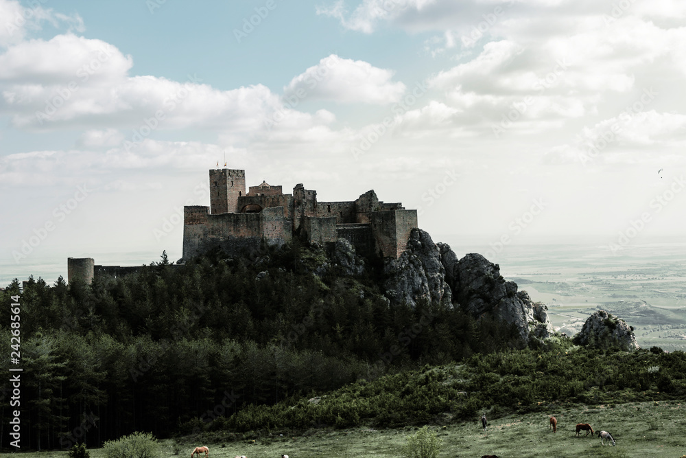 Loarre medieval Castle 