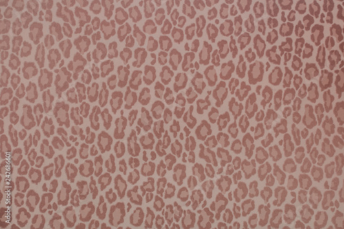 Photography Leopard wild animal pattern background or texture, wallpaper concept colorful fi