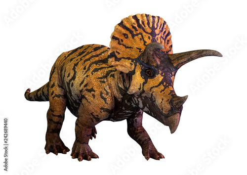 3D Rendering Dinosaur Triceratops  on White © photosvac