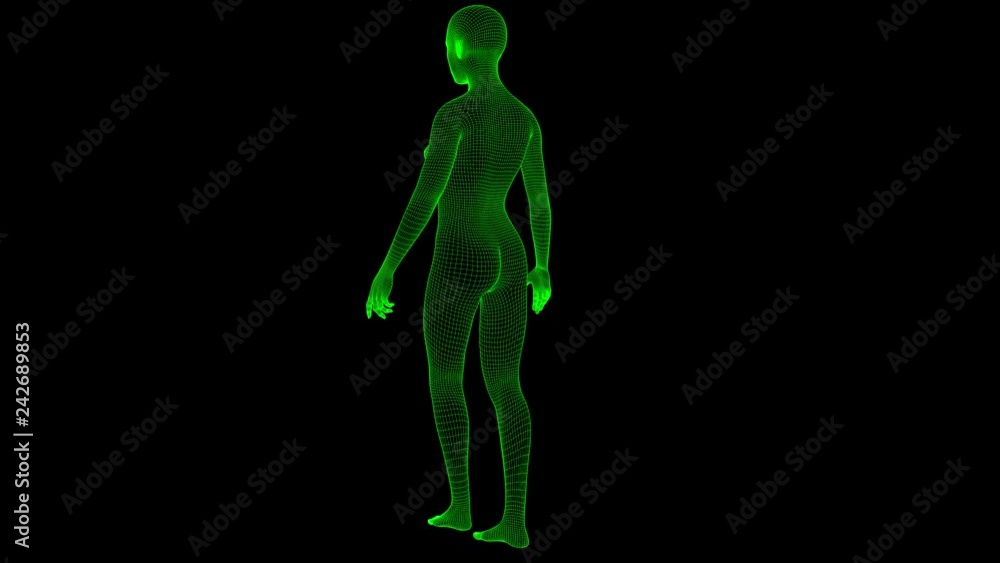 4K Futuristic Wireframe Android AI Woman Standing Seamless Loop 4K Futuristic Wireframe Android AI Woman Standing Seamless Loop