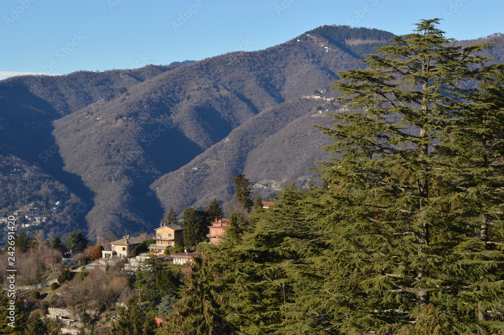 Naklejka premium veduta