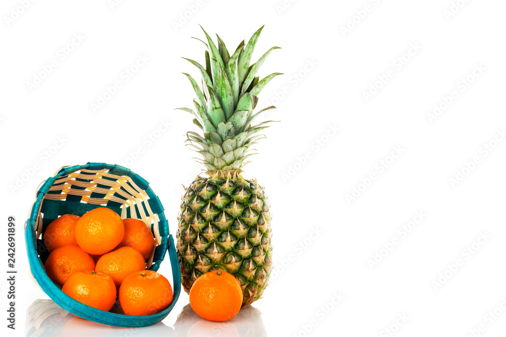 Pineapple with basket and with small tangerines on a white background. Isolate. Pineapple with basket and with small tangerines on a white background. Isolate.