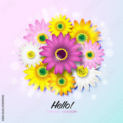 Spring Background with Colorful Daisy Flower Blossom Design Vector
