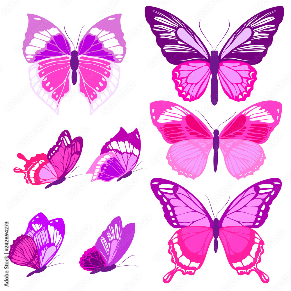 beautiful pink butterflies, isolated  on a white