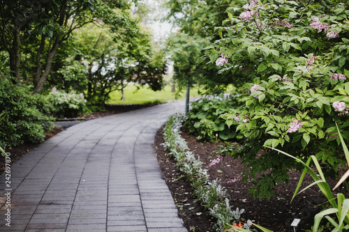 Path in the botanical garden