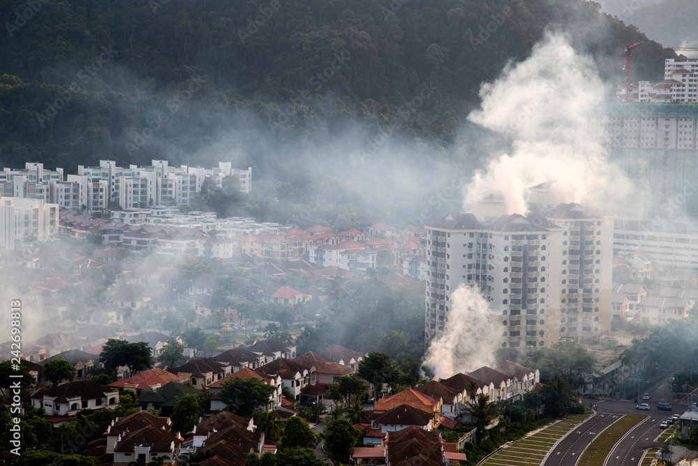 Fototapeta premium Dengue Fever Mosquito Fogging