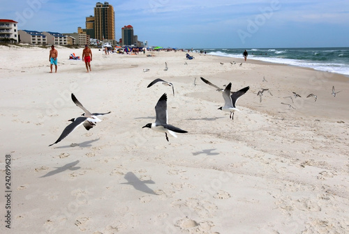Canvas Print Alabama Gulf of Mexico beach life