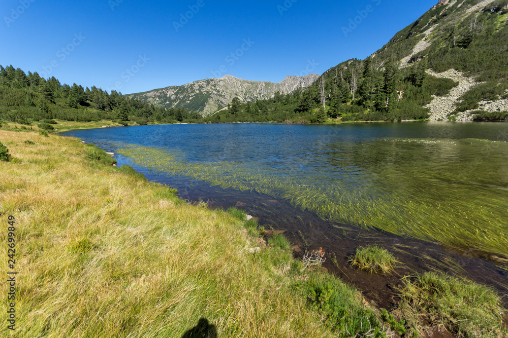 Landscape with Clear waters of Fish Vasilashko lake, Pirin Mountain, Bulgaria