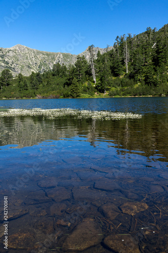 Landscape with Clear waters of Fish Vasilashko lake, Pirin Mountain, Bulgaria © Stoyan Haytov