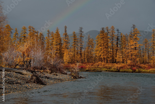 Fototapeta Naklejka Na Ścianę i Meble -  Russia. far East. The colours of autumn are cold-water rivers of Magadan.