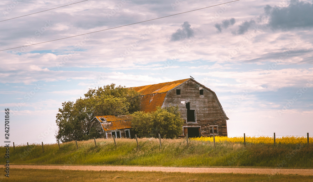 Obraz premium old barn in the field