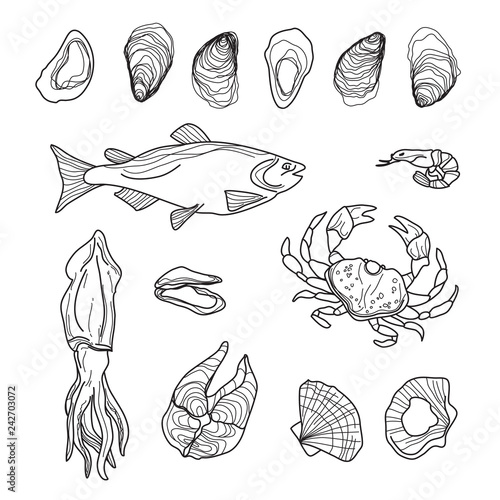Hand Drawn Seafood Collection on White