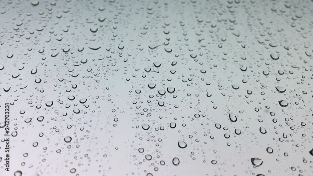 Transparent Water Droplets on White Surface Transparent Water Droplets on White Surface