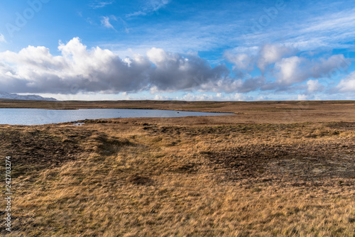 Grassy Plain with a Lake in Iceland on a Sunny Autumn Day