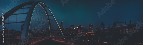 Edmonton Walter Dale Bridge night skyline