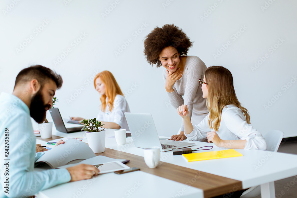 Fototapeta premium Business people working in modern office