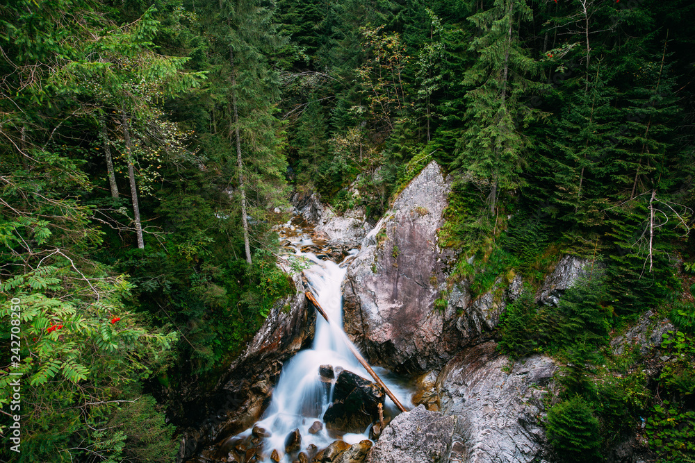 Fototapeta premium Tatra National Park, Poland. Waterfall Wodogrzmoty Mickiewicza I