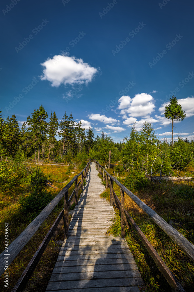 Wooden path around small march near stone labyrinth Bledne skaly, Szczeliniec Wielki in National Park Stolowe Mountains