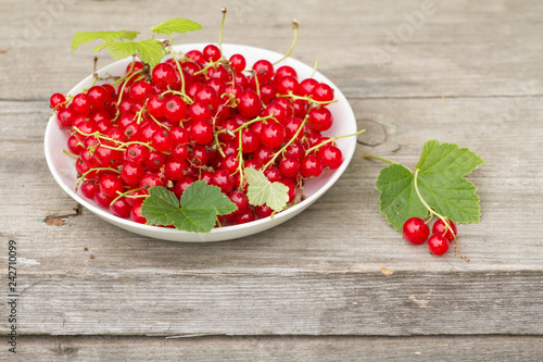 plate of red currant on wooden background photo