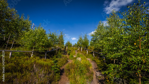 Sunny narrow path full of grass with dramatic blue sky in autumn forest near Bledne Skaly