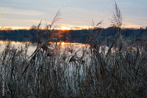 Sunset and pond (Třeboňsko, South Bohemia) photo