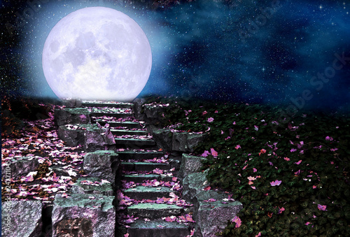 Stone steps in the night park, full moon rising over the hill photo