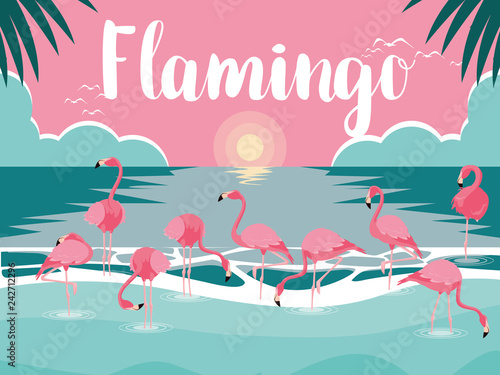 beautiful flamingos birds flock in the landscape
