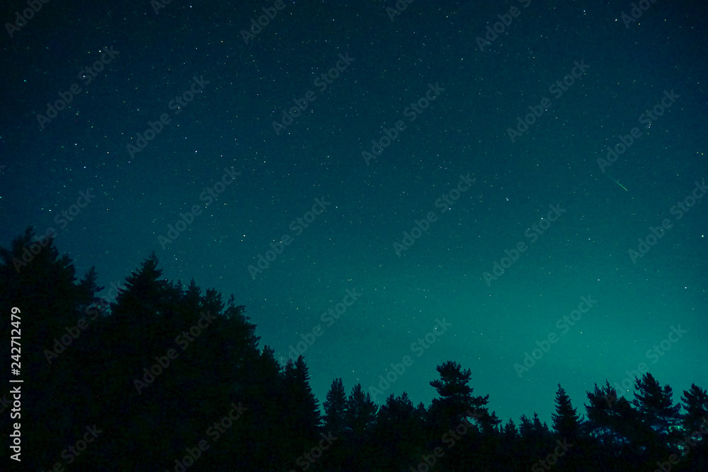 falling star falling star