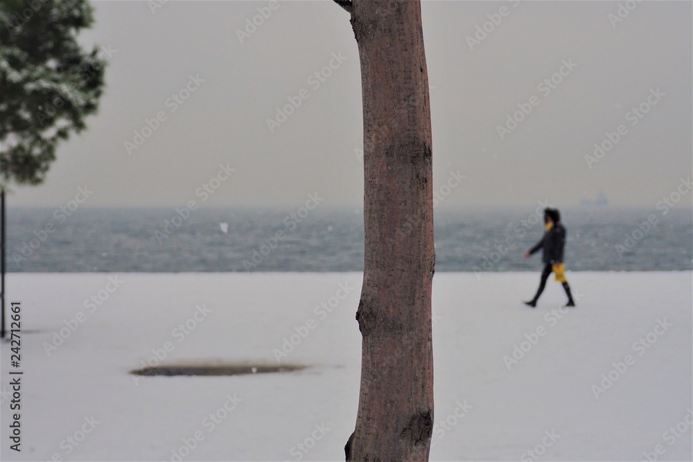 Obraz premium A tree a person and the snow