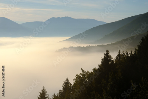 Fototapeta Naklejka Na Ścianę i Meble -  View above the clouds on the surrounding densly wooded hills