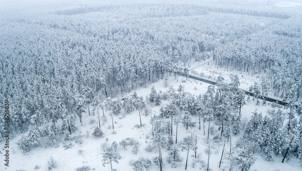 Aerial view of snow-covered tops of pines.