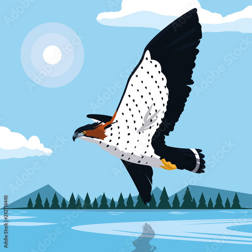 imposing hawk bird flying in the landscape