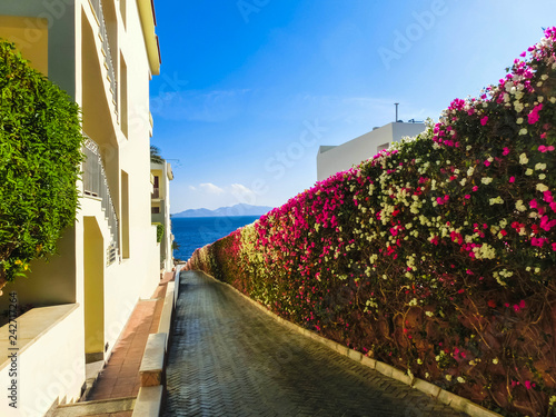 Paved yellow brick road in perspective leading to the sea on the background of blue sky