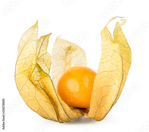 Physalis with open leaves close-up on a white. Isolated.