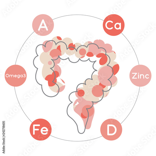 Vitamins and minerals for healthy intestines. Micro and macro elements and vitamins: A, D, Fe, Ca, Zinc and Omega 3 and other vector elements. Abstract illustration in red and pink colors.