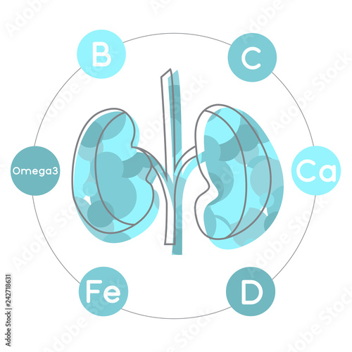 Vitamins and minerals for healthy kidneys. Micro and macro elements and vitamins: C, Fe, D, E, Zinc and Omega 3 and other vector elements. Abstract illustration in blue colors.
