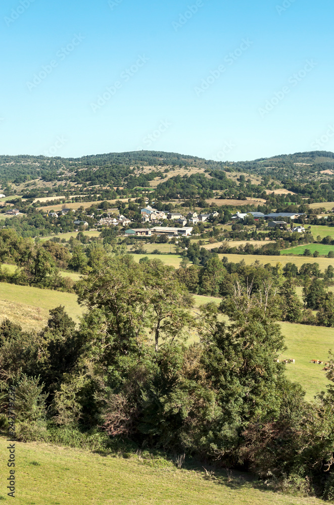 Fields with trees in France on a sunny day