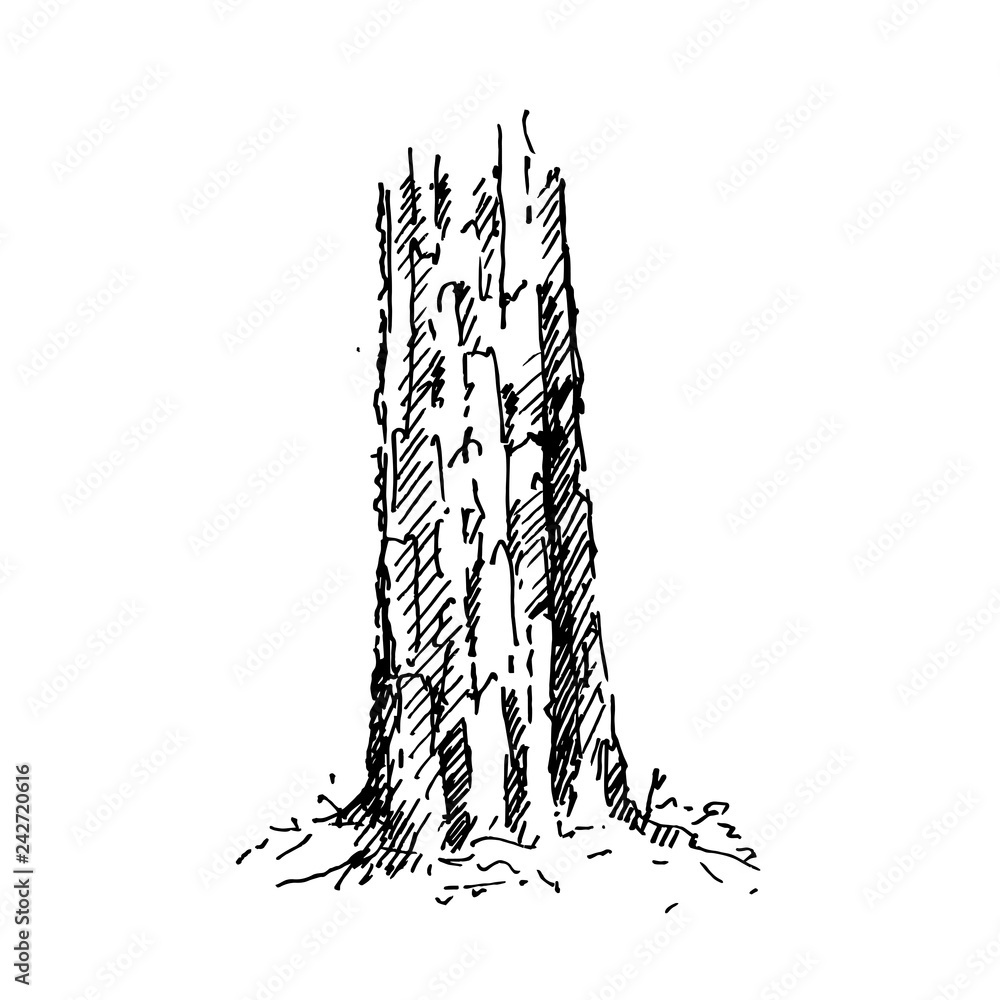 Hand drawn tree stump. Vector illustration. Hand drawn tree stump. Vector illustration.