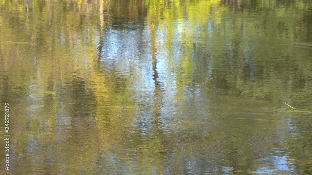 reflection of foliage colors on the water surface in the river. reflection of foliage colors on the water surface in the river.