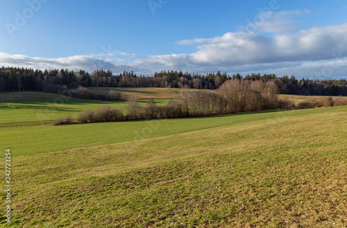 Winter. Meadow. Forest. Field. Hill. Sky © sarenac77