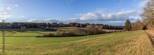Winter. Panorama. Meadow. Forest. Hill. Sky. Field