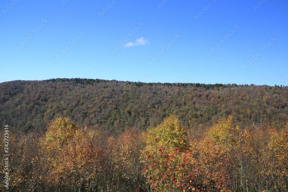 West Virginia Mountain Top and valley