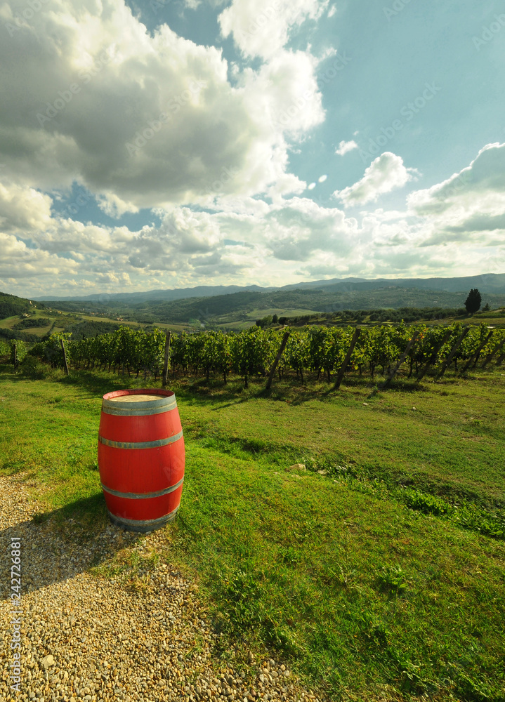 Obraz premium old red barrels in a Tuscan vineyard in the Chianti region near Pontassieve (Florence), Italy.