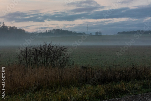 sunrise in the countryside  fog on the field with small hills  small groves in the distance  The sky is yellow with blue clouds
