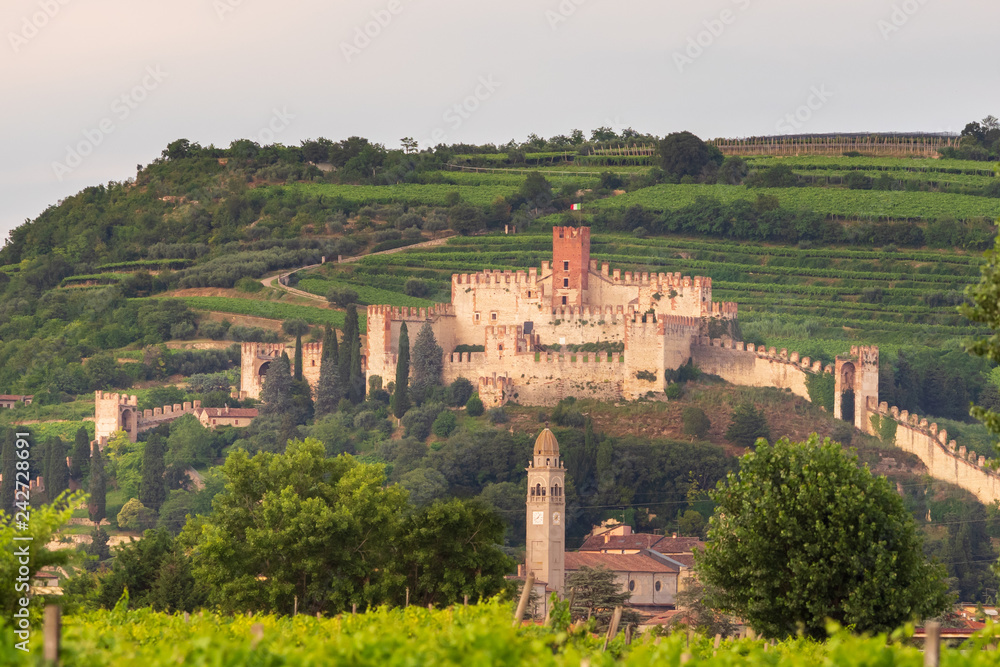 The ruins of a medieval castle on the hill. Summer landscape. Italy.