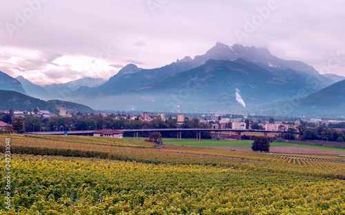 Vineyards in Bern on a cloudy day photo