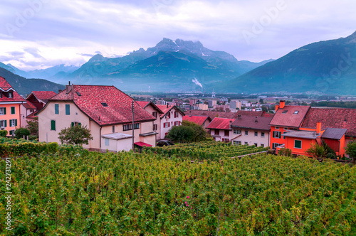 Vineyards in Bern on a cloudy day photo