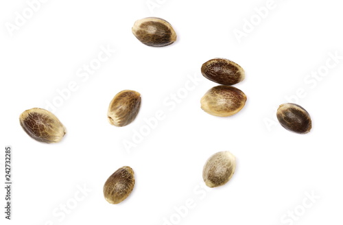 Hemp seeds isolated on white background, top view